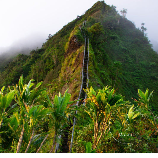 hawaii photography, hawaii photo prints, hawaii wall art, hawaii mountain wall art, oahu hiking photography, oahu hawaii, waikiki